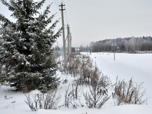 Зима в Подмосковье